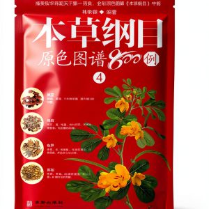 Chinese Health Guide by 中版集团 Kindle eBook 2025 Edition-0